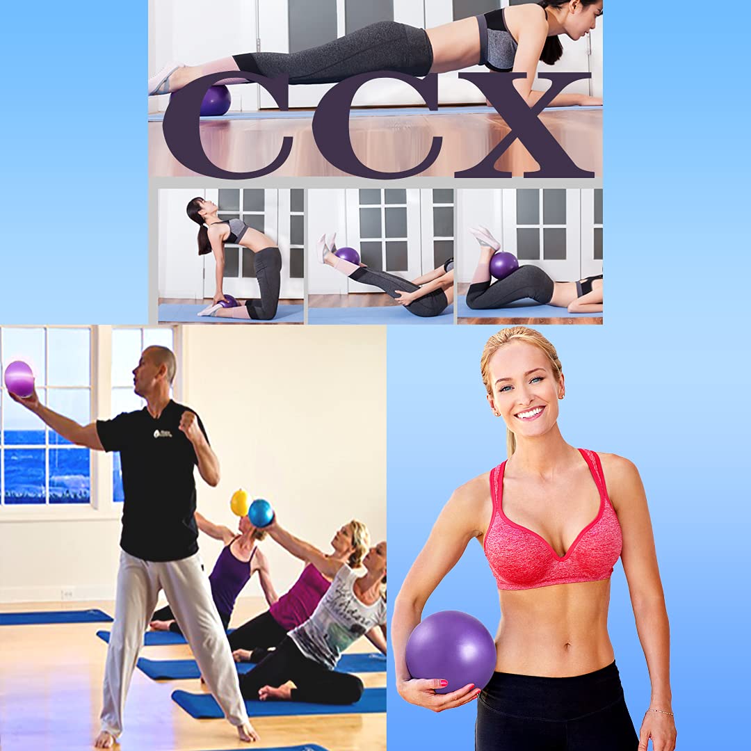 XIECCX Mini Yoga Balls 6 Inch Exercise Pilates Therapy Balance Micropore Ball Barre Equipment for Home Stability Training Physical Core Training with Pump(Purple)