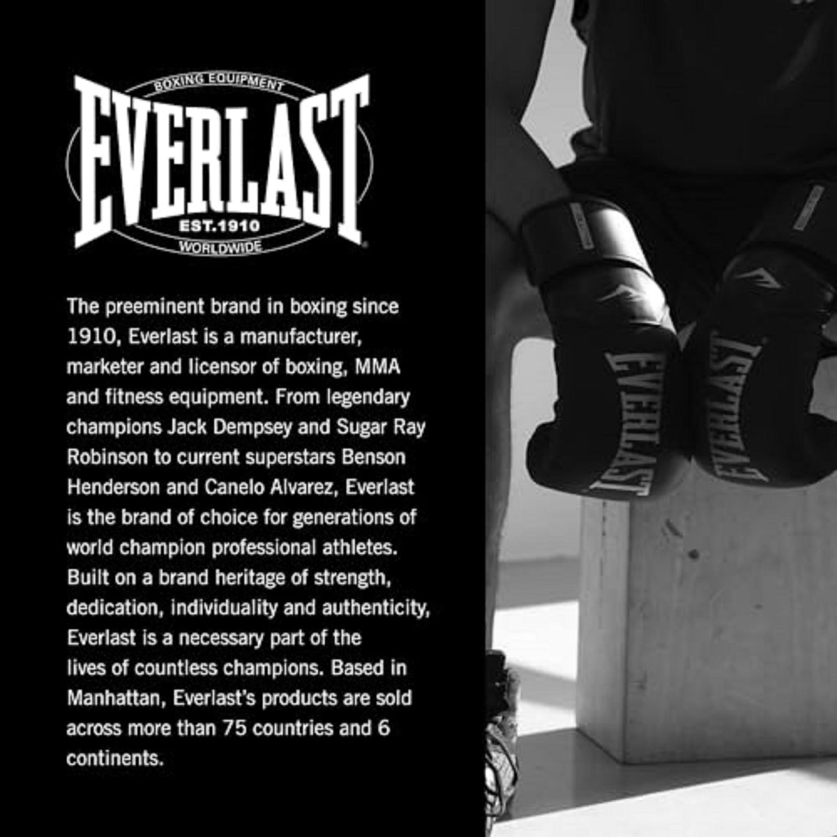 Everlast Elite 2 Womens Boxing Gloves | Vegan Leather Boxing Gloves with Secure Fit Hook and Loop Closure & Ventilation | Cardio, Speedbag, and Heavy Bag Training Gloves (12 oz, Tan)