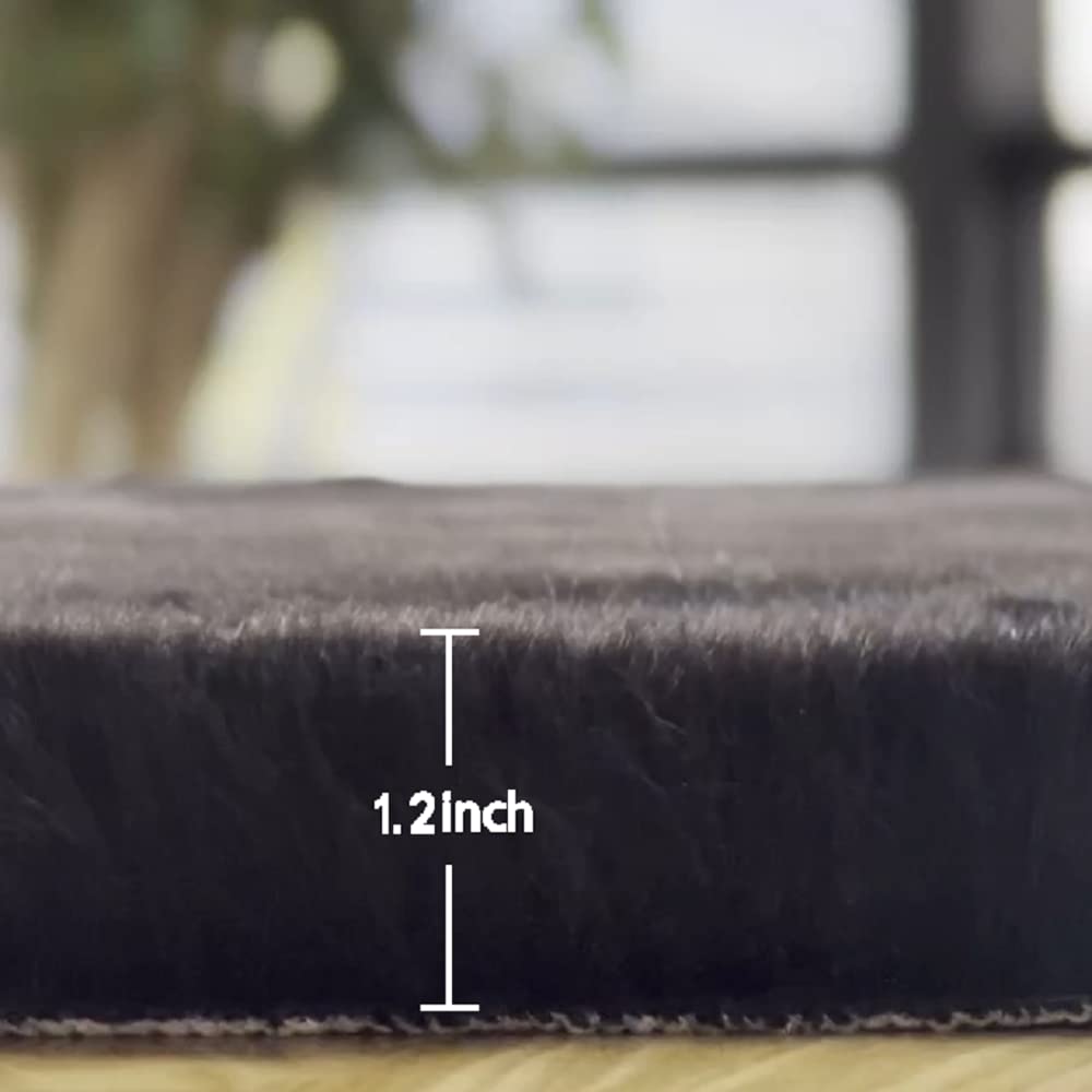ORINOVA Faux Rabbit Fur Rug Machine Washable Area Rugs Black Fur Rug for Living Room Fuzzy Rugs for Bedroom Teen Room Decor Small Sheepskin 2x3 Rectangle Rugs