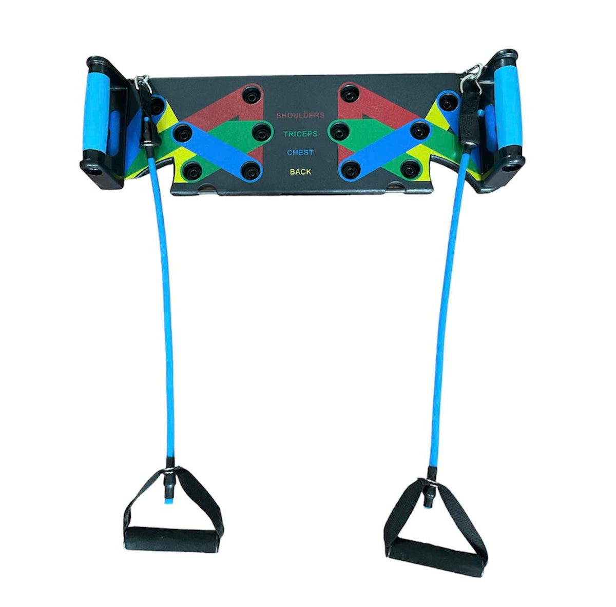 Push Up Board with Labeled Muscle Groups, Multicolor