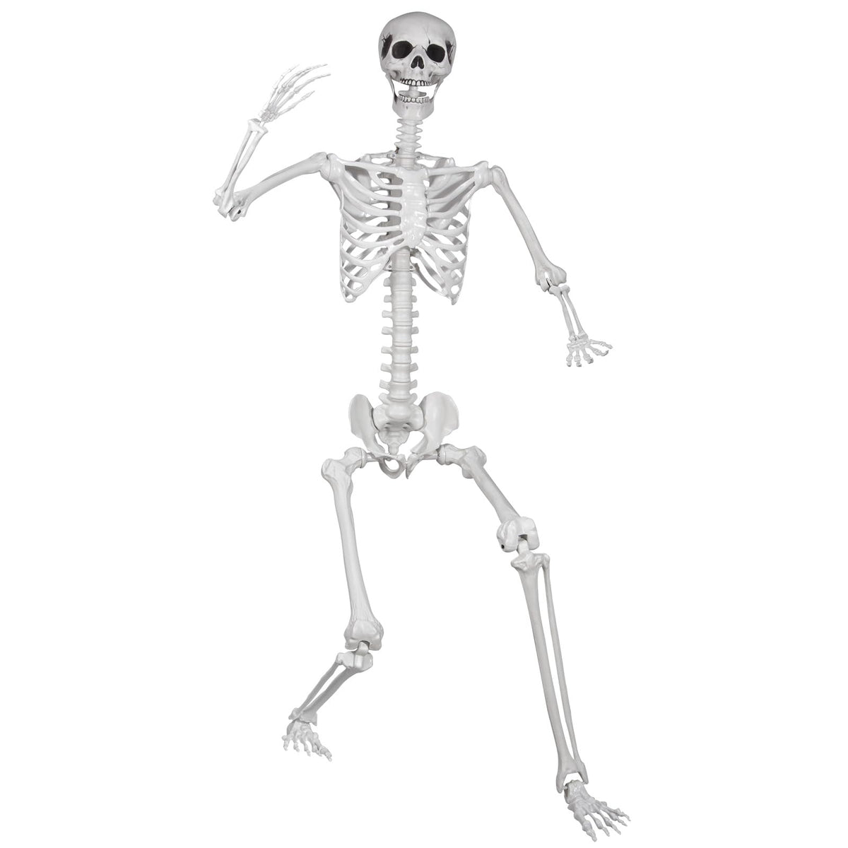 LaLamona 5.9ft/180cm Posable Halloween Skeleton, Life Size Skeleton Bones with Movable Joints for Halloween Graveyard Haunted House Spooky Scene Decor, 1pc