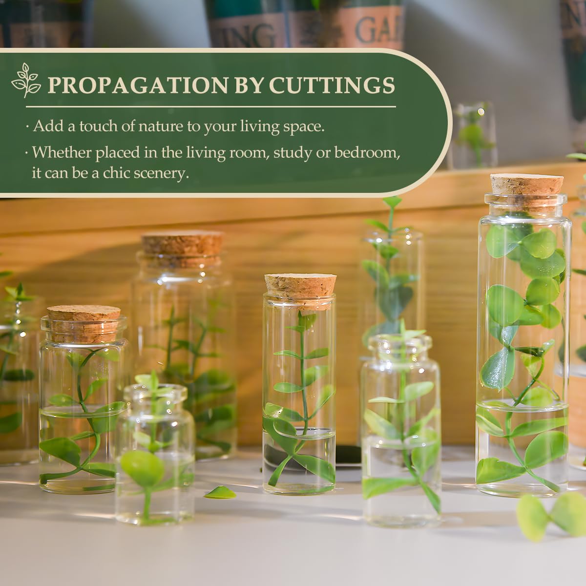 4-Pack 5.07 oz (150ml) Glass Bottles with Cork Stoppers – for Spell Bottles, Spice Jars, DIY Party Favors, Travel Memories & Plant Propagation – Empty Recyclable Containers for Crafts, Kitchen, Decor
