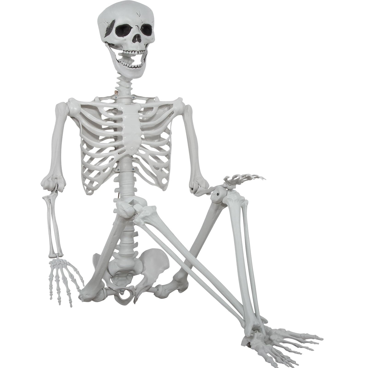 5.9ft Halloween Life Size Skeleton Realistic Full Body Skeletons Plastic Human Bones with Movable Joints for Halloween Props Spooky Party Decoration