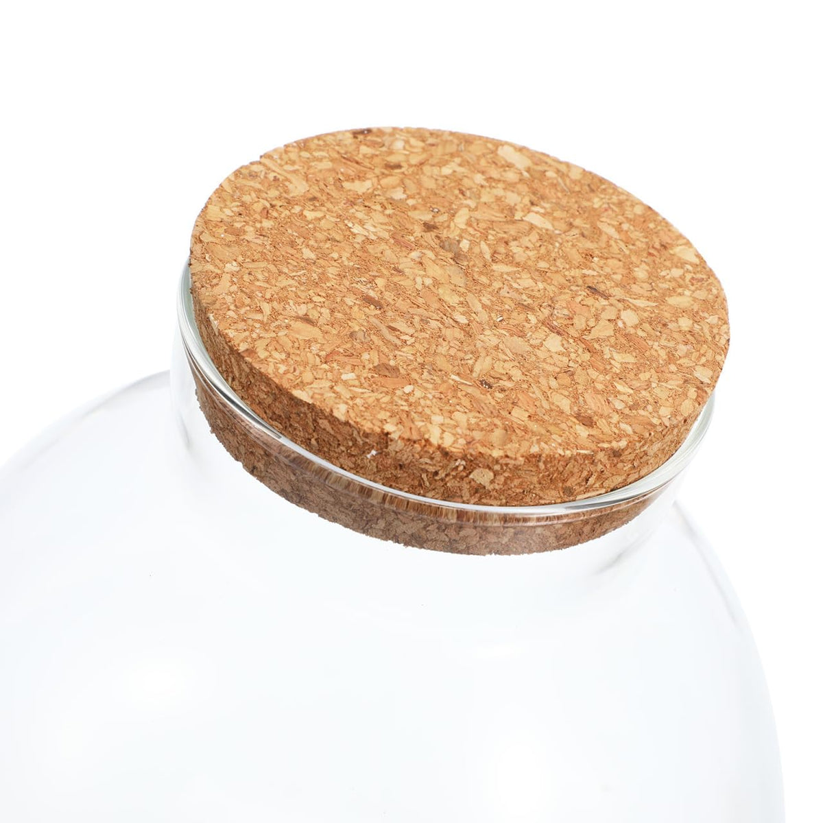 Toddmomy Glass Terrarium Bottle with Cork Lid, Closed Micro Landscape Round Jar, Desktop Moss Container for DIY Fairy Garden and Plant Ecosystem