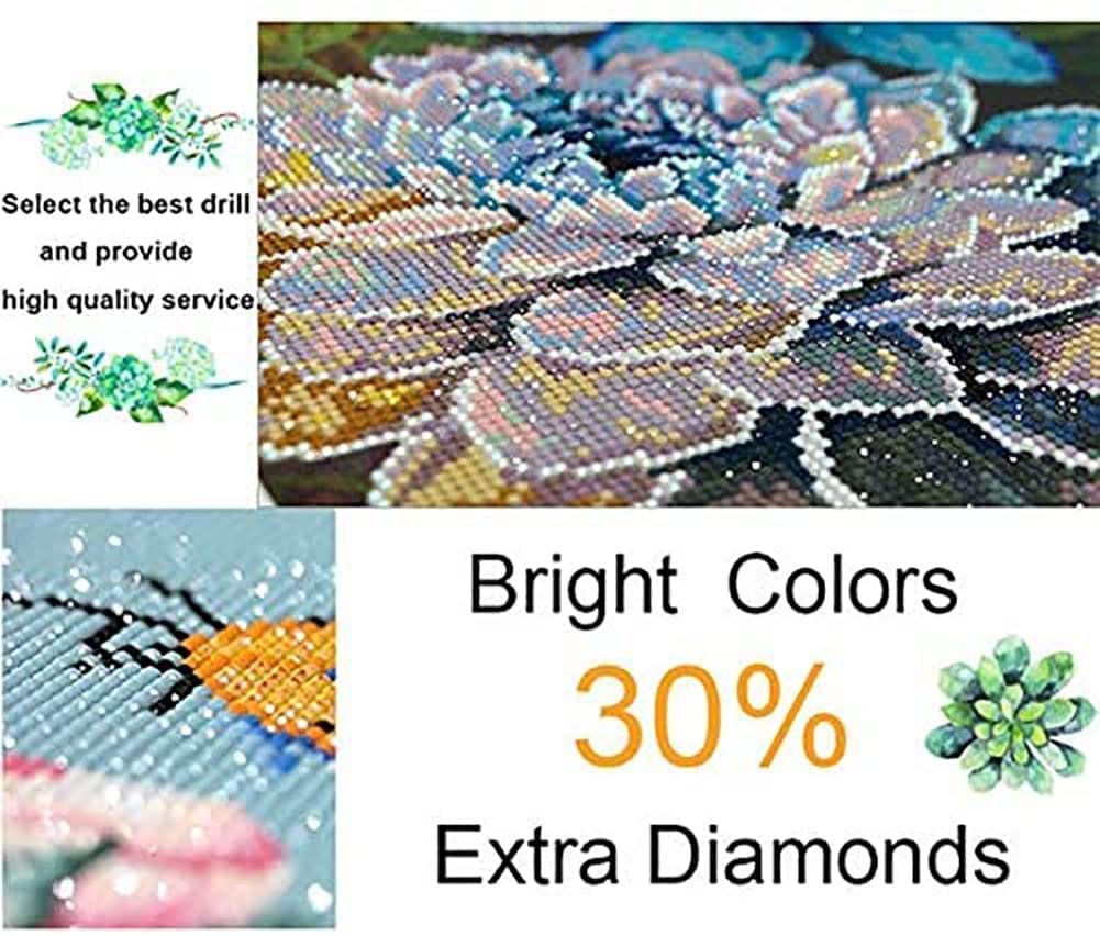 DIY 5D Diamond Art Painting by Number Kits for Adults16x20 Painting Cross Stitch Full Drill Crystal Rhinestone Embroidery Pictures Arts Craft for Home Wall Decor
