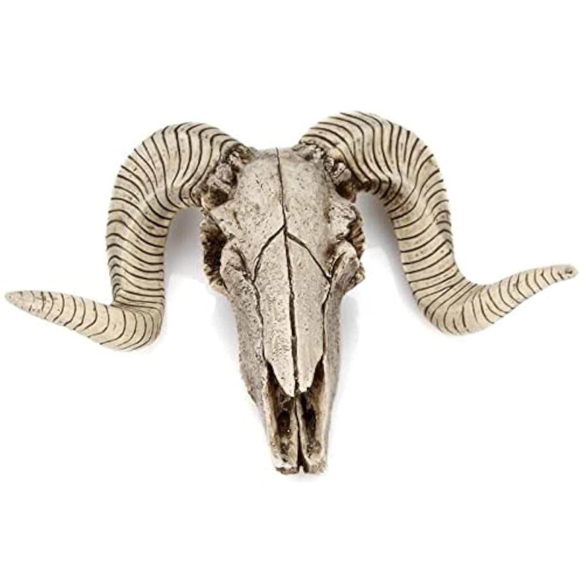 YOWOY Skull Sheep Head Wall Sculpture,Resin Ram Decorations,Ram Sheep Skull Decor - Animal Skeleton Sculpture Hanging Art Collectible (A)