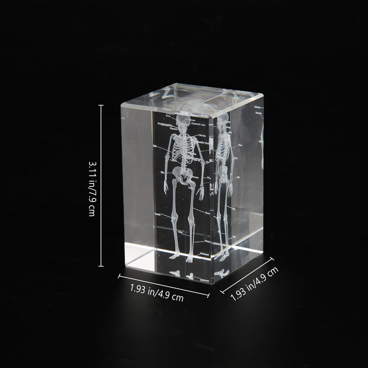 3D Human Skeleton Crystal Model Skeletal Anatomical Model for Home and Office Decoration, Unique Gift for Doctors and Students
