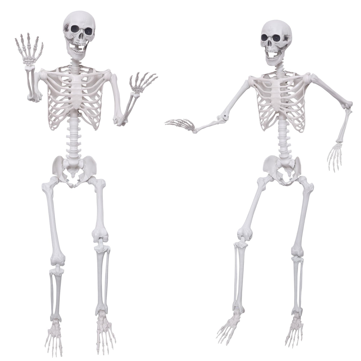 Hibsotco 2Pack 5.4Ft Life Size Skeletons Posable Skeletons Full Size Plastic Human Skeleton with Movable Joint for Halloween Outdoor Indoor Decorations