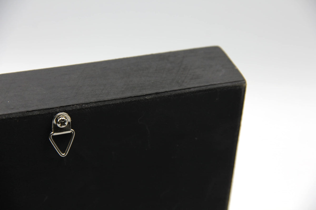 Real Giant Bird Eating Tarantula EURYPEIMA SPINCRUS Spider Taxidermy Transparent Boxed Display (Black Wooden Box)