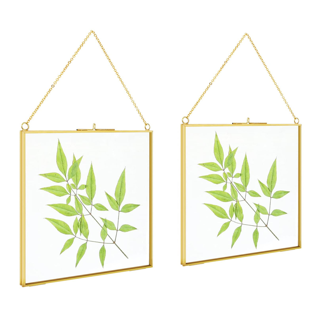 TLBTEK 2 PCS 8x8 inch Brass Hanging Photo Frame,Double Glass Frame for Pressed Flowers,Clear DIY Vintage Artwork Display Frame Wall Mounted Photos Frame
