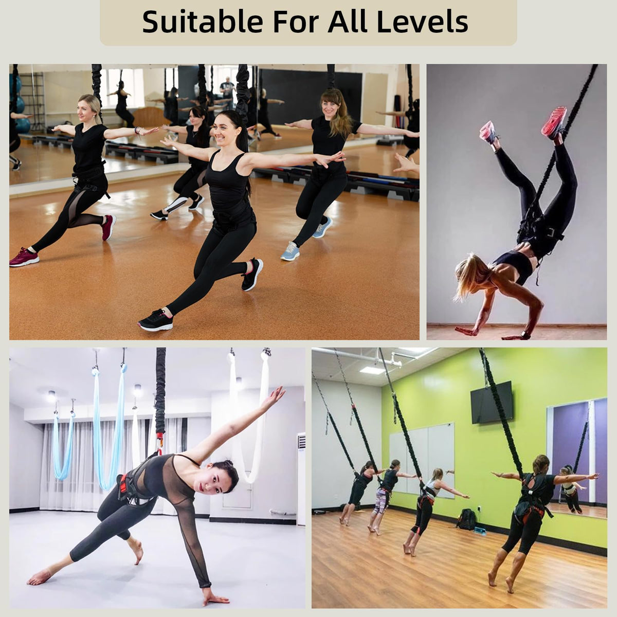 PRIORMAN Professional Bungee Dance Fitness Kit, 6 Sizes, CE Certified Complete Harness Set with Resistance Band & Hanging Hardware for Suspension Training Home & Studio(S)