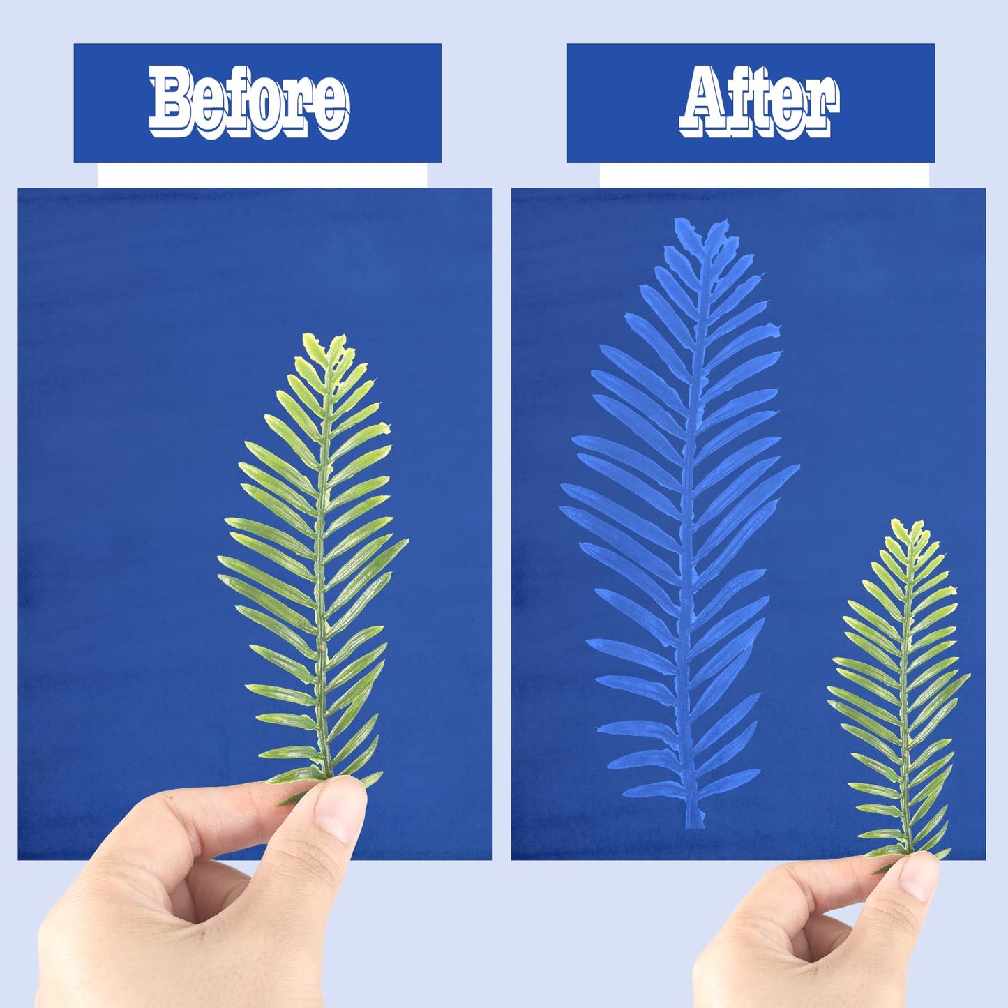 Engrowtic 240 Sheets Sun Print Paper Kit Cyanotype Paper Set High Sensitive White Solar Activated Nature Sun Printing Drawing Kit for Adults Crafts DIY Project