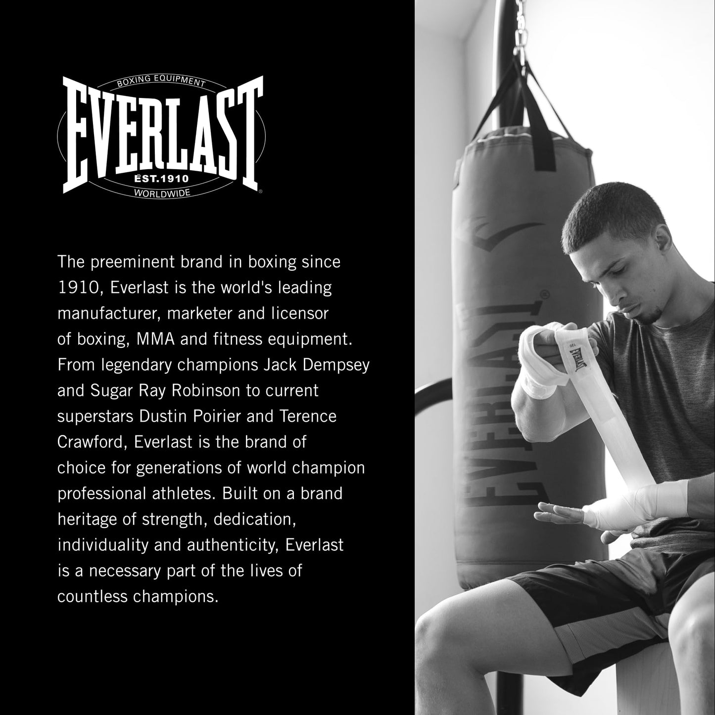 Everlast Elite 2 Heavy Bag (80 LB) with Wood Beam Heavy Punching Bag Hanger, Durable Boxing Heavy Bag for Home Training