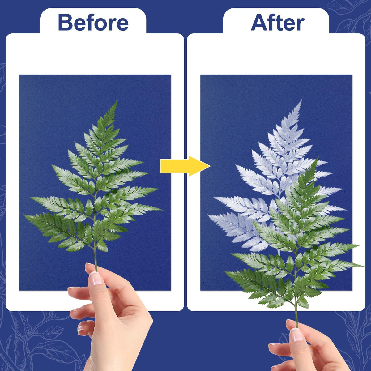 gisgfim Sun Cyanotype Printing Paper Kit A4 24 Sheets Cyanotype Papers with 1 Sheet Acrylic Panel and Manual High Sensitive Nature Solar Activated UV Sun Printing for Arts DIY Crafts Project