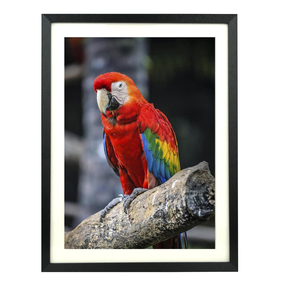 Mxtallup 18x22 in Diamond Painting Picture Frames 16x20 in Diamond Art Frame , Display Pictures16x20 Inch/ 40x50 cm with Mat or 18x22 Inch/45x55 cm Without Mat, Wall Diamond Embroidery 18x22 Picture