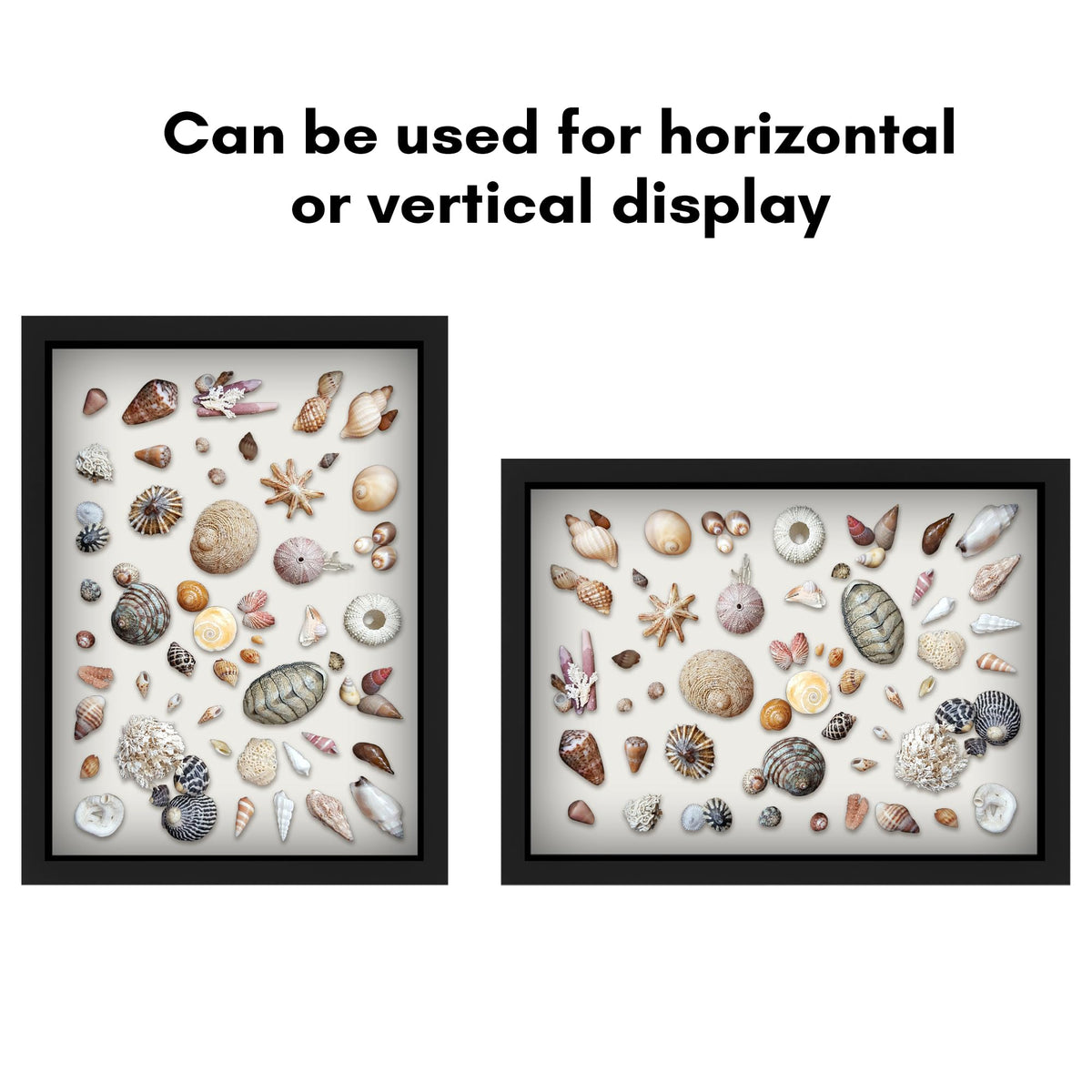 Americanflat 12x16 Shadow Box Frame with Polished Plexiglass - Silhouette Collection - Large Shadow Box Display Case for Tabletop and Wall Display - Black with Soft Felt Back