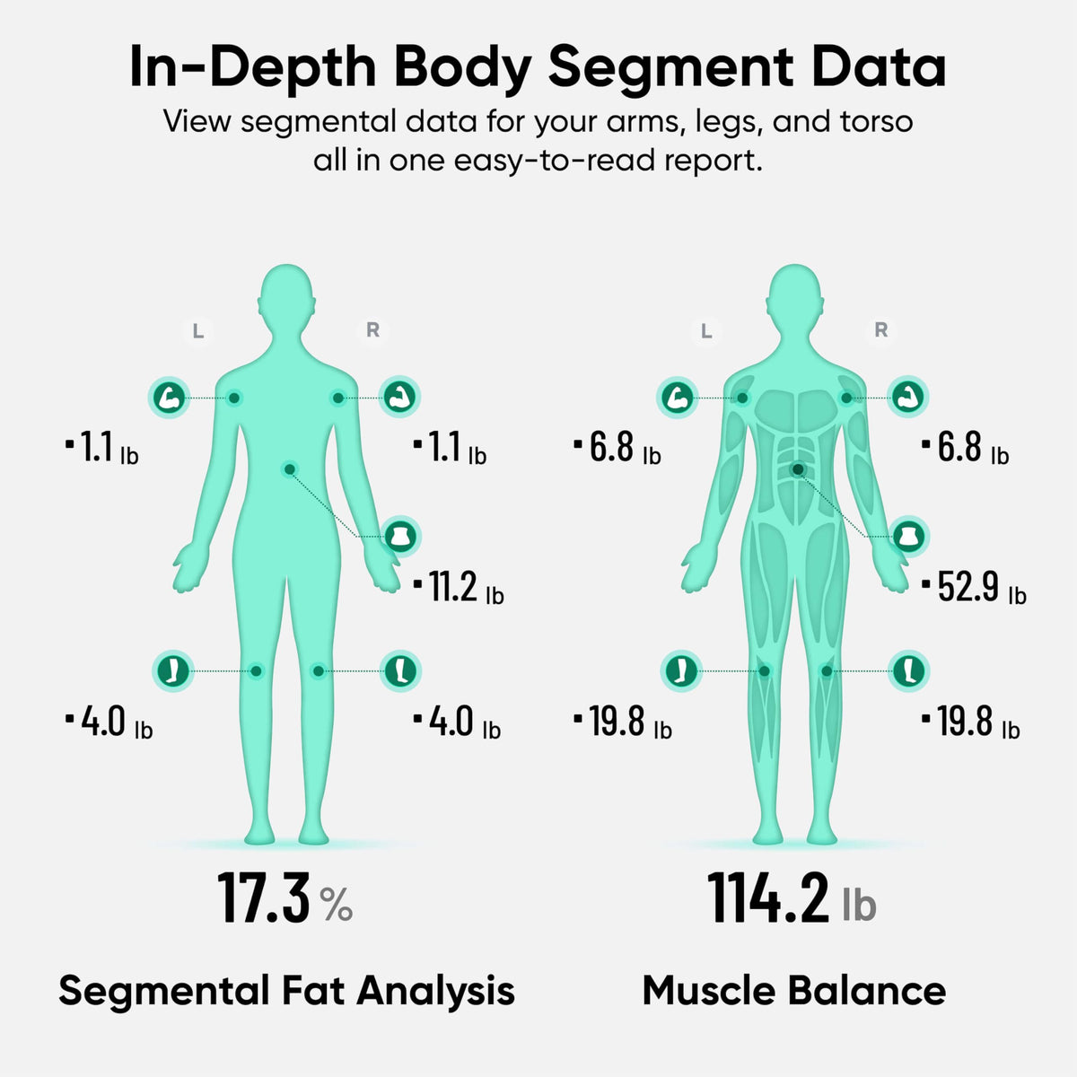 Wyze Smart Scale Ultra BodyScan with Handle – Wi-Fi & Bluetooth Body Composition Scale for Weight, BMI, Body Fat, Muscle Mass, and Segmental Measurement, 400 lbs, Black