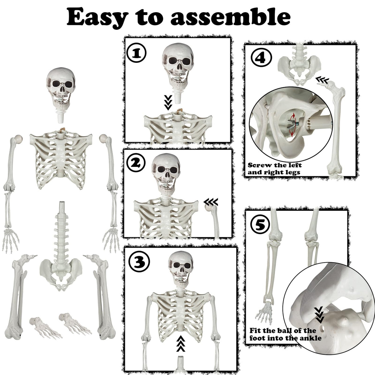5.9ft Halloween Life Size Skeleton Realistic Full Body Skeletons Plastic Human Bones with Movable Joints for Halloween Props Spooky Party Decoration