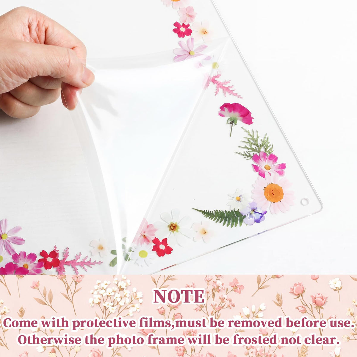 Novabright 2 Set 2026 5.5x8.5 Floral Acrylic Graduation Certificate Frame Pressed Wildflower Wall Mount Floating Picture Frame A4 Photo for Graduation Diploma Degree Document Memory Picture Gift