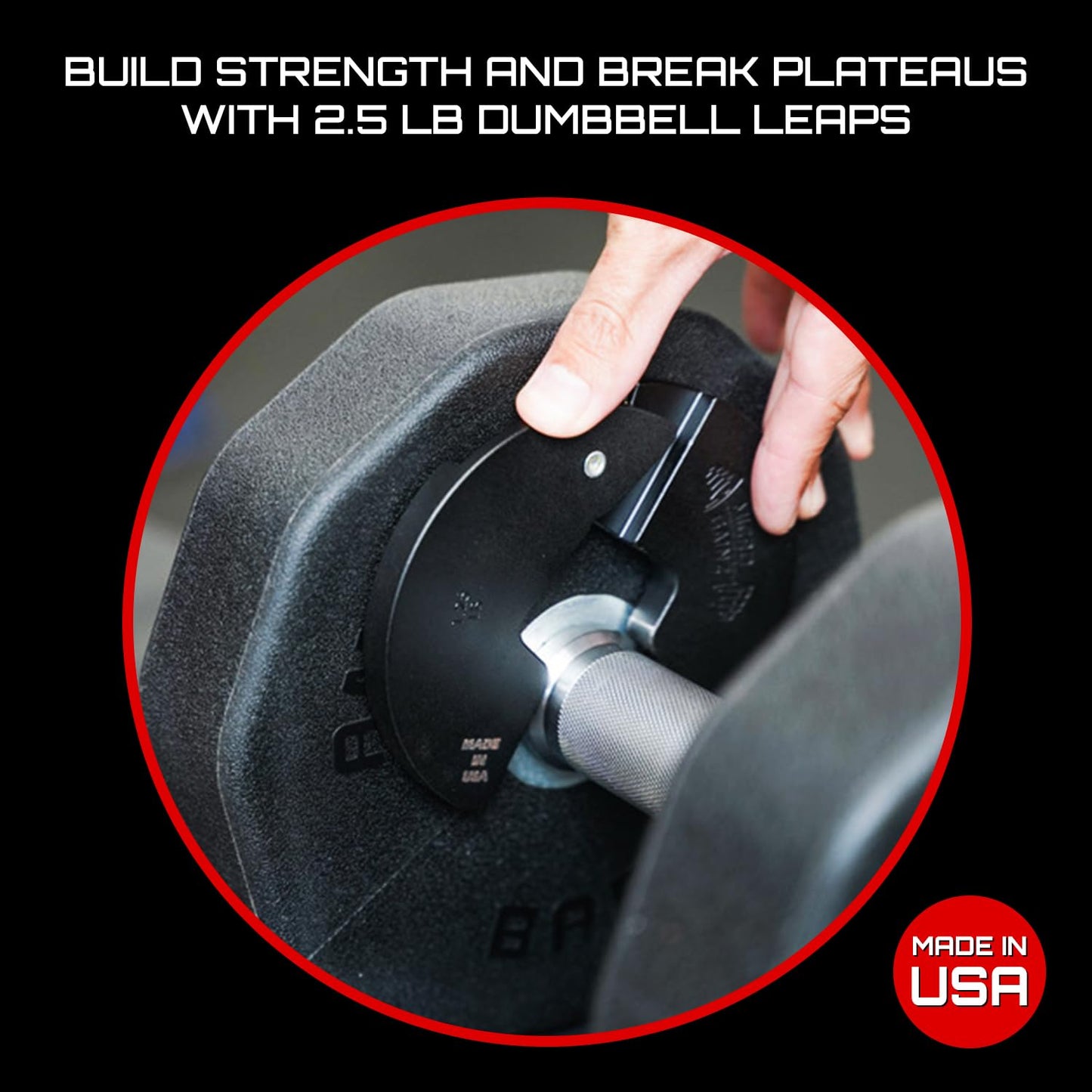 Micro Gainz 1LB Dumbbell Fractional Weight Plates 2 or 4 Piece- Designed for Dumbbell Training and Micro Loading, Made in USA (2 Piece)