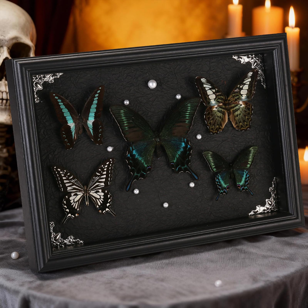 Real Framed Butterfly Taxidermy Collection - Set of 5 in Shadow Box Display - Natural Wood Frame with Museum Quality Preservation - for Home Decor, Wall Art, Gift