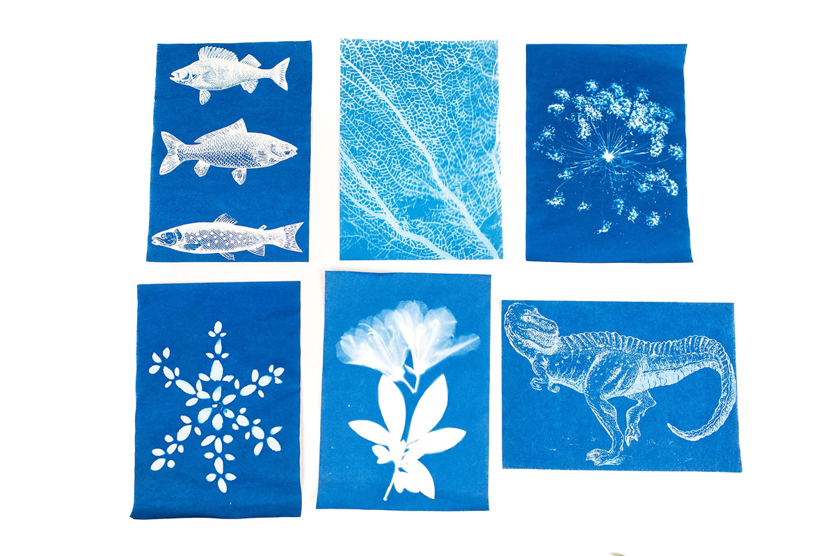 Nature Print Paper - NPP40 Sun Activated, 5 x 7 Inches, Pack of 40 - 1006385