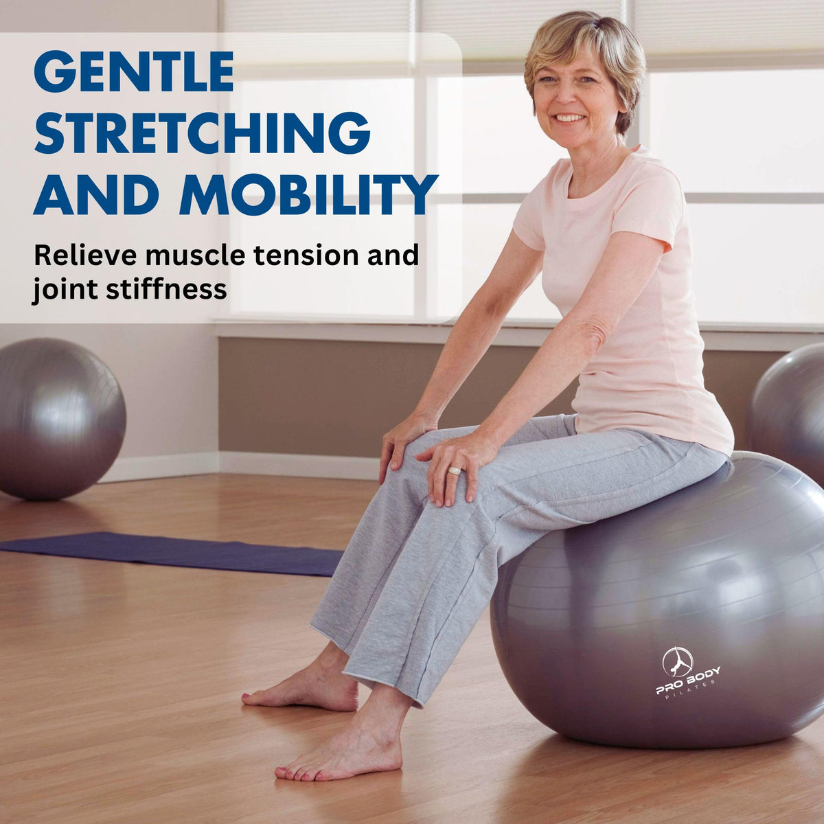 ProBody Pilates Yoga Ball - Fresh Colors Exercise Ball for Stability, Pregnancy, Workout, Physical Therapy & Birthing, Balance Ball Chair (Sky, 65 cm)