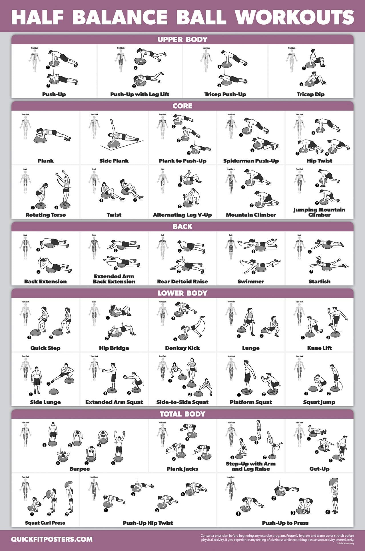 Palace Learning 2 Pack, Half Balance Ball Workout Poster + Yoga Ball Exercise Chart - Set of 2 Workout Posters (LAMINATED, 18" x 24")