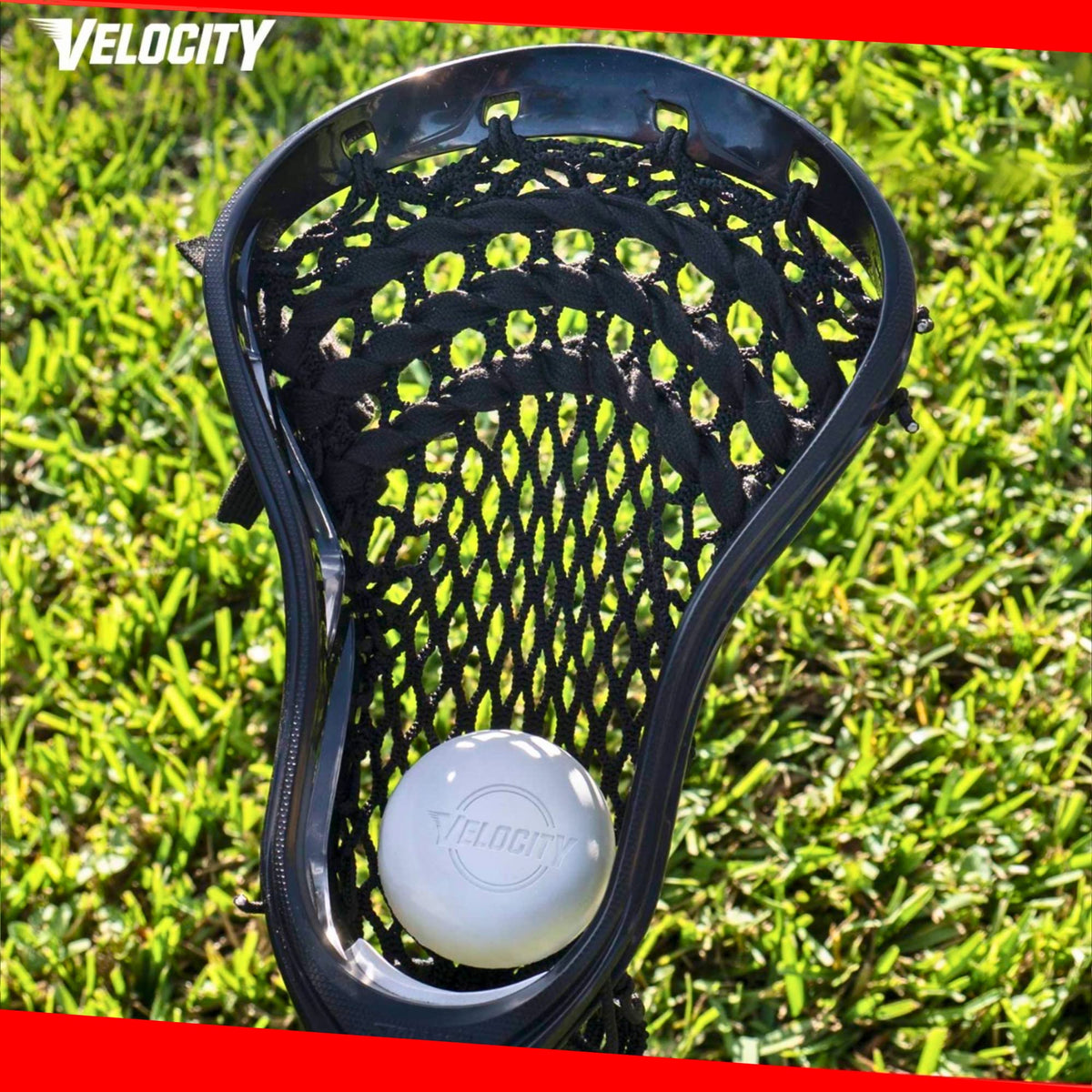 Velocity Practice Lacrosse Balls - 1, 2, 3, 6, 12, 18, 24, 36, 60 and 120 Packs - Official Size and Weight - Multi Color