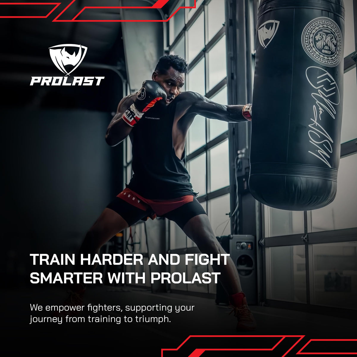 PROLAST Punching Bag for Experienced and Beginners, Boxing, MMA, Martial Arts, Muay Thai Training Equipment, Hanging, Filled, 3ft, 50 lbs, Rhino Logo, Black/Black