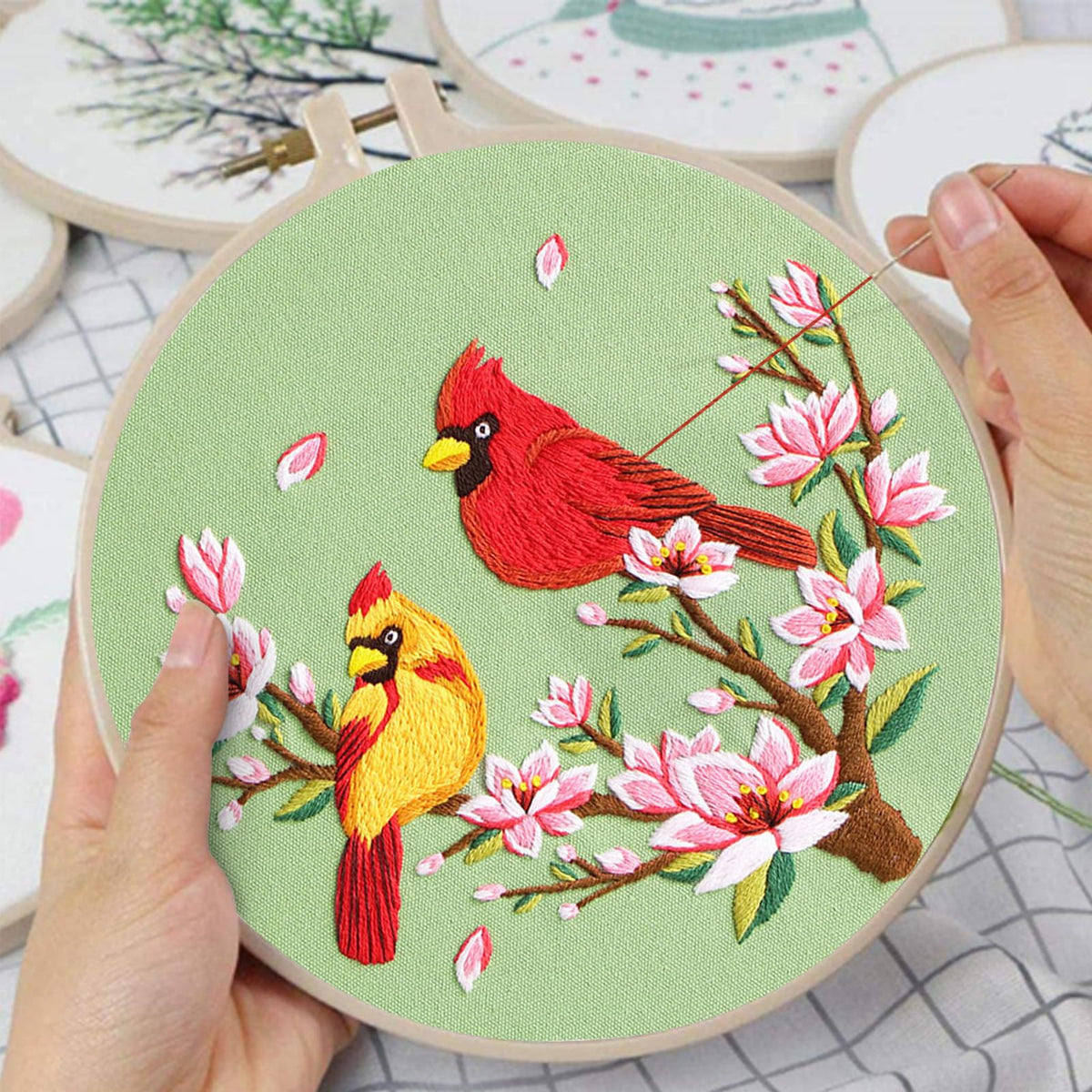Nuberlic 3 Pack Embroidery Kit for Beginner Adults, Cross Stitch Set with Cardinal & Blue Bird Patterns, Includes Cloth, Hoops, Threads, Needles, Instructions
