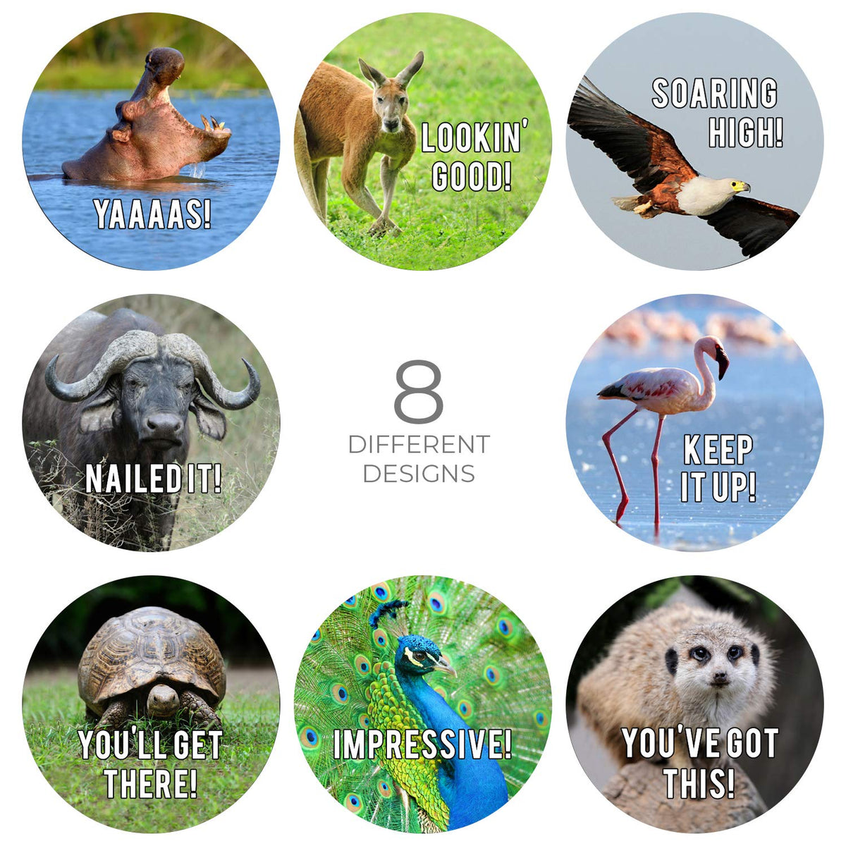 Motivational Animal Stickers / 500 Students Patients Incentive Labels Roll / 1.5" Funny Inspirational Animal School Clinic Reward Sticker / 8 Humorous Designs/Made in The USA