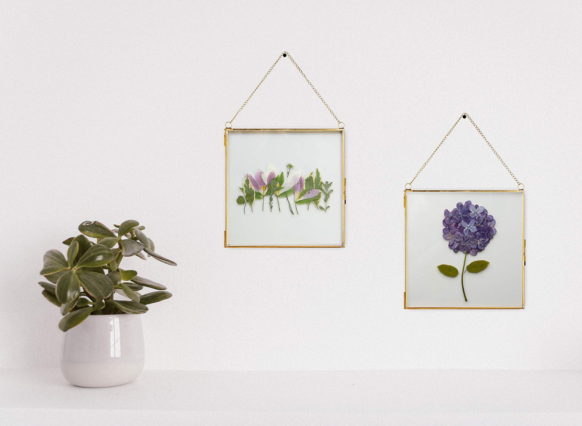 Glass Frame for Pressed Flowers, Leaf and Artwork - Hanging Gold 6x6 Square Metal Picture Frames, Clear Double Glass Floating Frame, Wall Decor Photo Display, Set of 2 Flower Press Frames with Chain