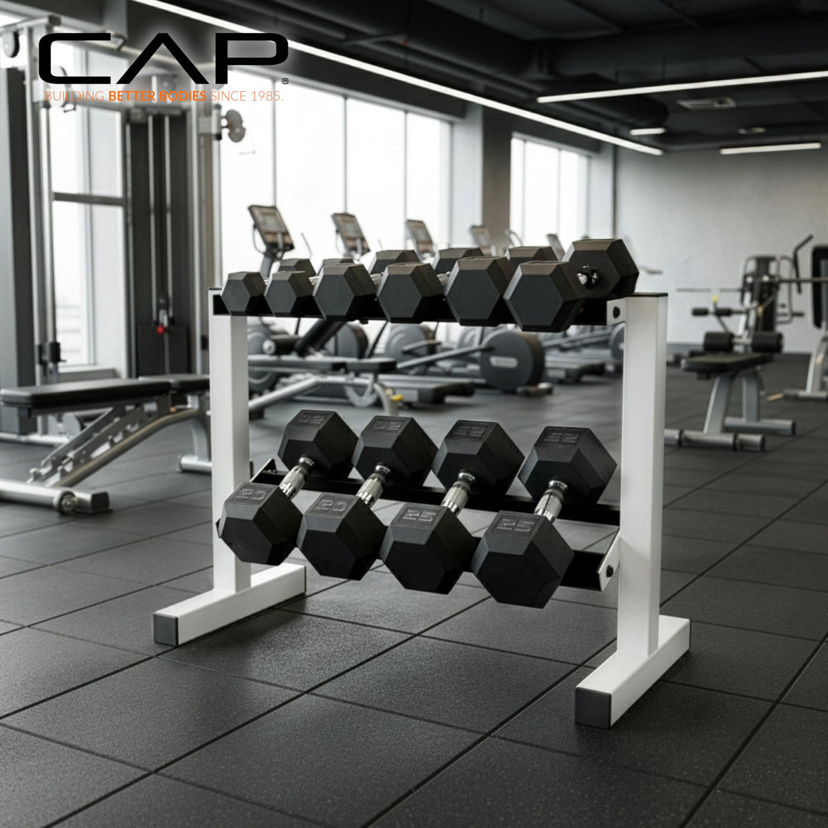CAP White 24-Inch Dumbbell Storage Rack for Home Gym, 2-Tier Heavy-Duty Steel Weight Rack for Hex Dumbbells, Holds 5lb - 25lb Pairs