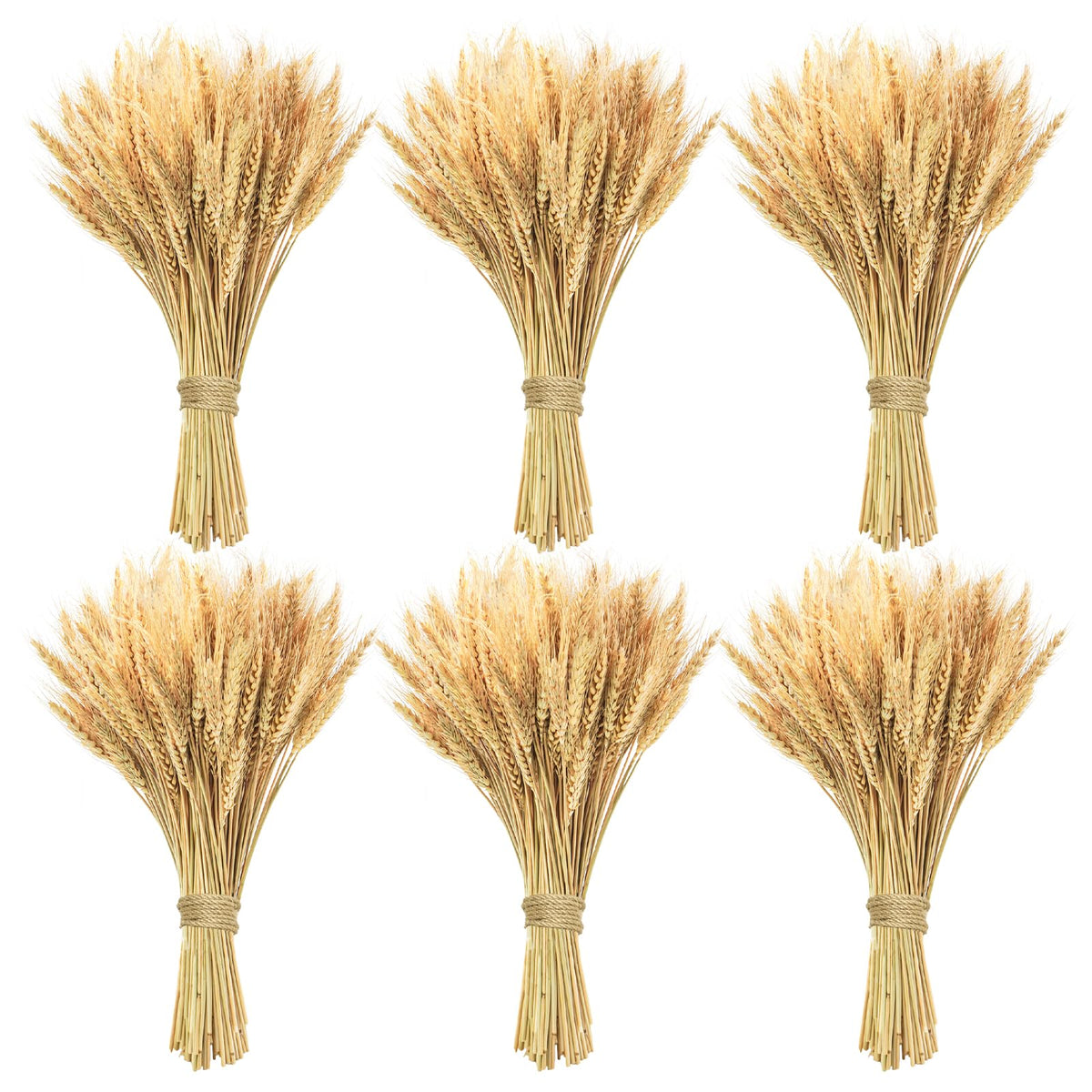 Phliofd 600 Stems Natural Dried Wheat Stalks, 18 inches Dried Wheat Grass Bundle Wheat Sheaves Wreath for Flowers Arrangement Wedding Table Centerpieces Home Kitchen Office DIY Party Décor