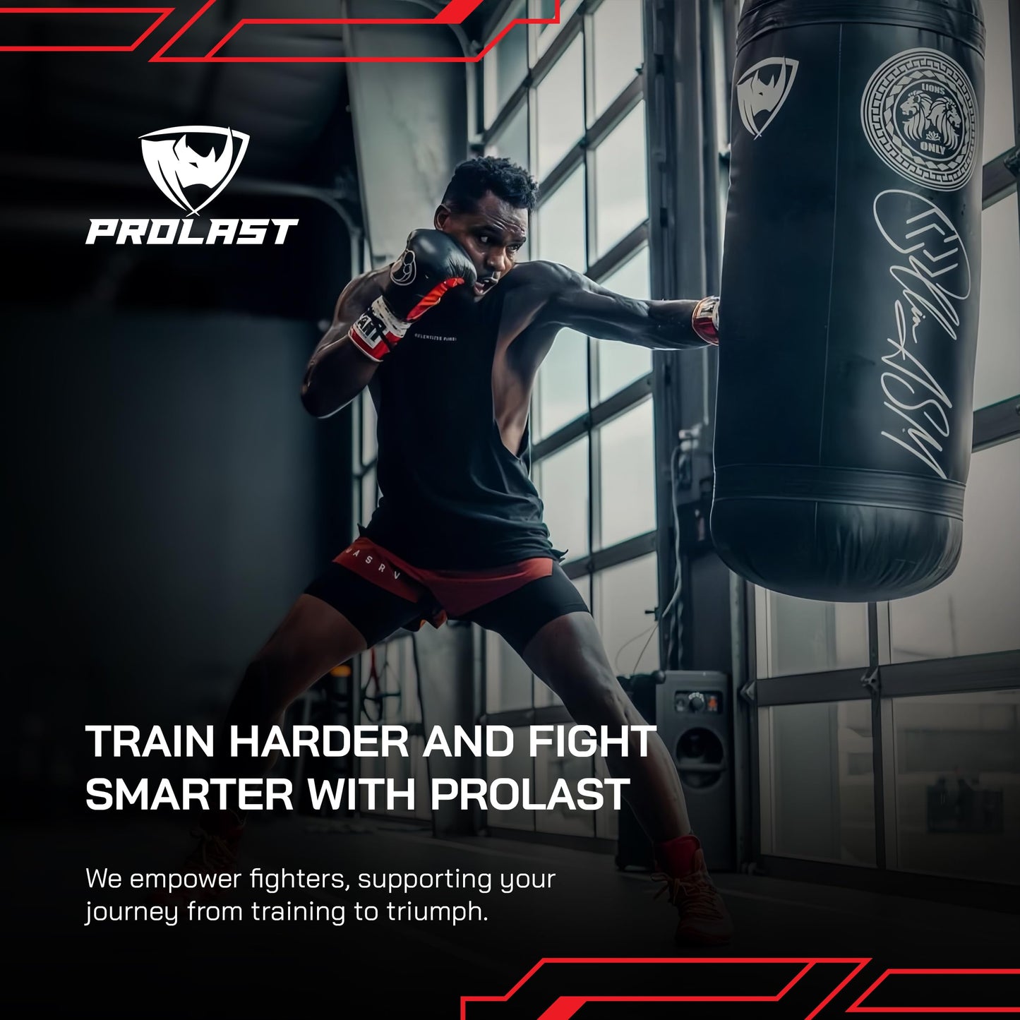 PROLAST Heavy Punching Kicking Bag for Adults, Boxing, MMA, Martial Arts, Muay Thai, Strength Training Equipment, Filled, 6ft, 150 lbs, Special Edition Logo, All Black