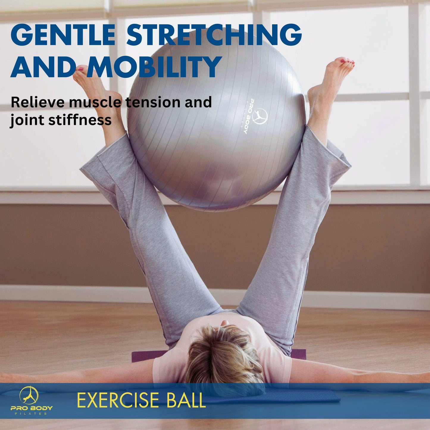 ProBody Pilates Exercise Ball - Multiple Sizes Gym Grade Balance Ball for Fitness, Workout, Pregnancy & Physical Therapy, Stability Yoga Ball Chair (Blue, 65cm)