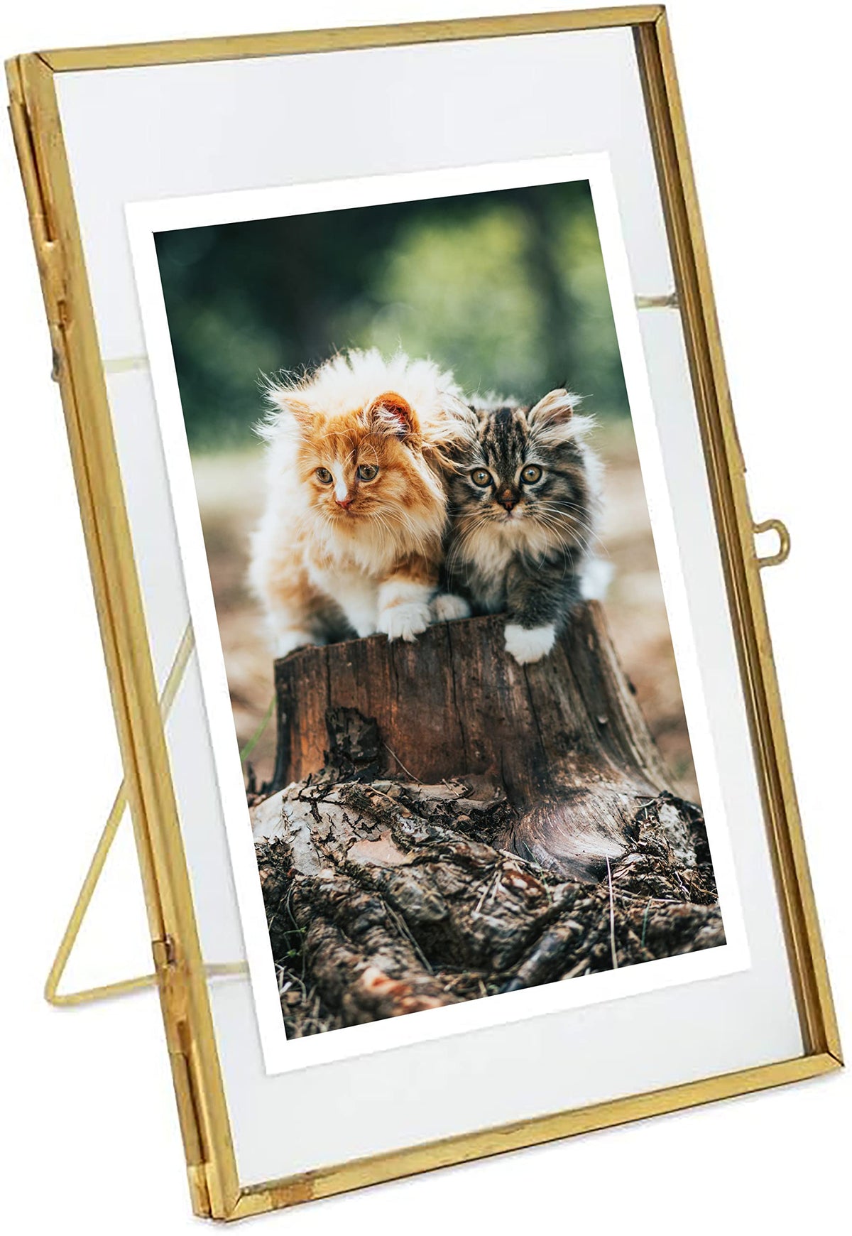 WONTHAI Gold Picture Frame - 4x6 Antique Brass Postcard Picture Frame for Desk - Small Pressed Glass Frame for Pressed Flowers - Floating Vertical (4 * 6 vertical)…