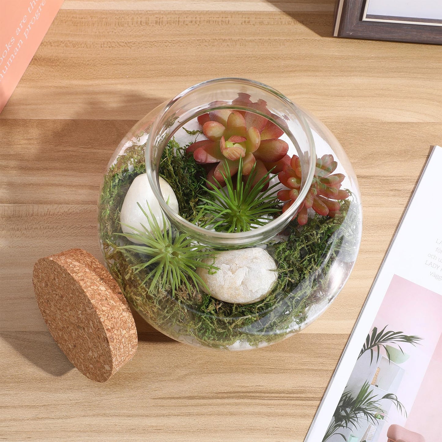 NUOBESTY Glass Terrarium Jar with Cork Lid, 6x6.3 Inch Closed Terrarium for Succulent Moss and Fern, DIY Miniature Desktop Garden for Home & Office Decor (No Plants)