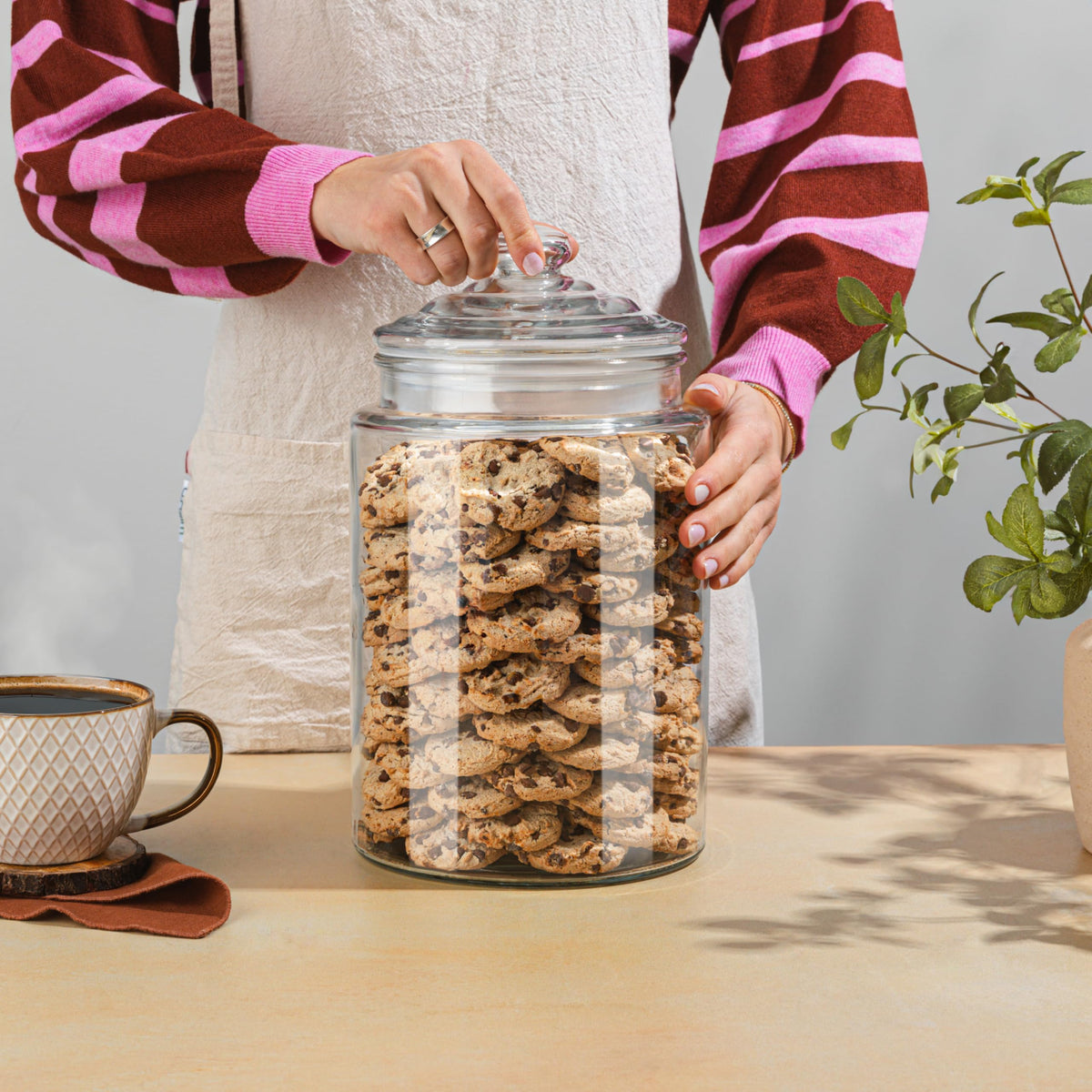 1.5 Gallon Glass Cookie Jar - Tall Food Storage Container with Airtight Lid - Large Kitchen Canister for Sugar, Flour, Dog Treat, Candy, Biscotti & Apothecary - Pack of 1