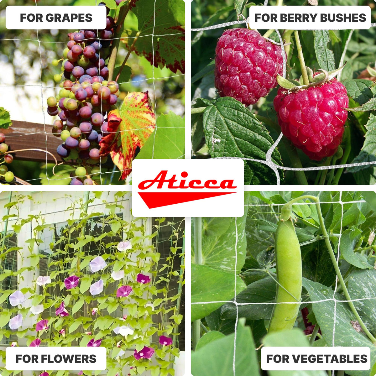 ATICCA Trellis Netting 5 x 225 ft Heavy Duty Polyester Plant Support Netting White - 6 Inch Garden Rope Trellis on Roll - Mesh Twine for Growing Vine Climbing Plants, Flowers, Peas, and Tomatoes.