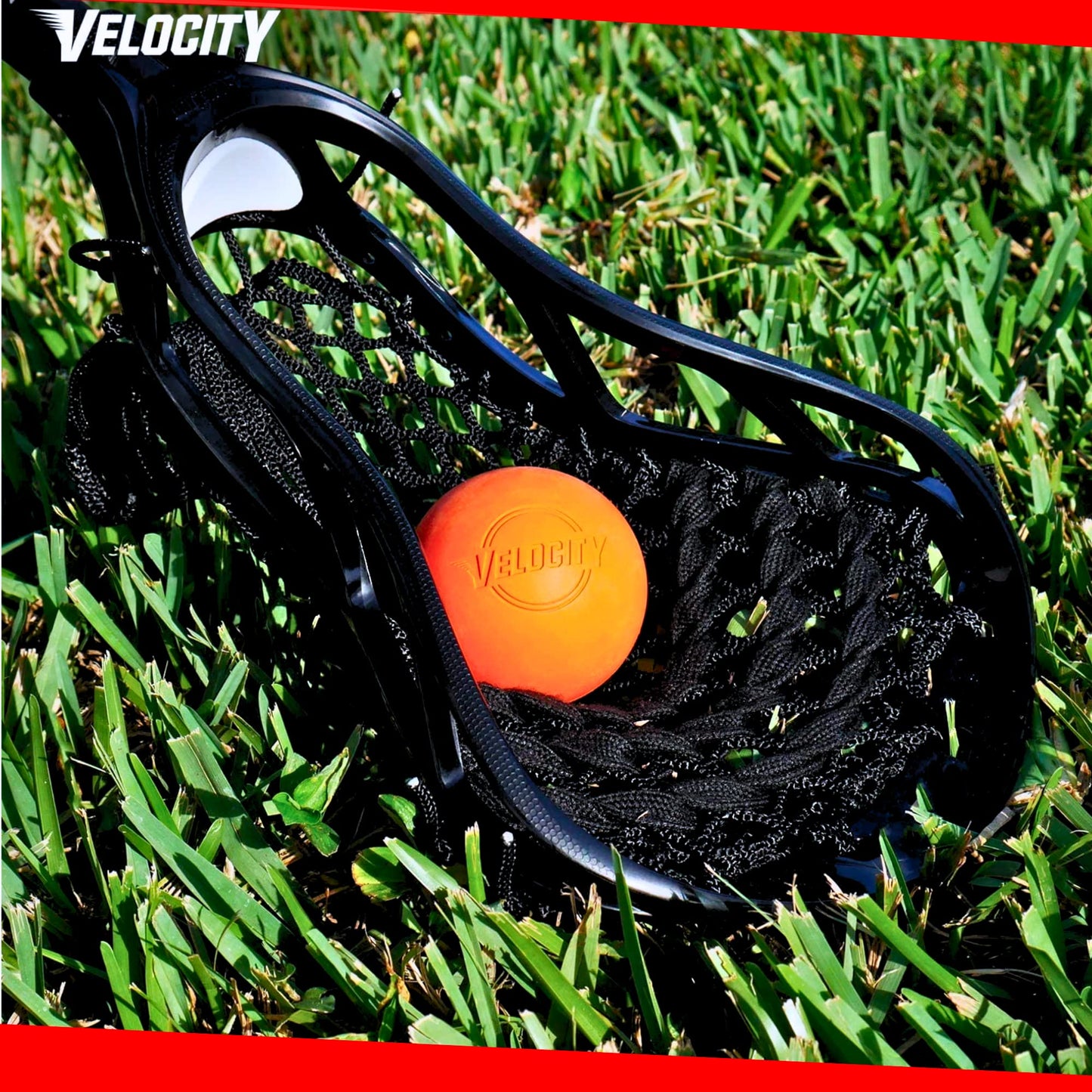 Velocity Practice Lacrosse Balls - 1, 2, 3, 6, 12, 18, 24, 36, 60 and 120 Packs - Official Size and Weight - Teal