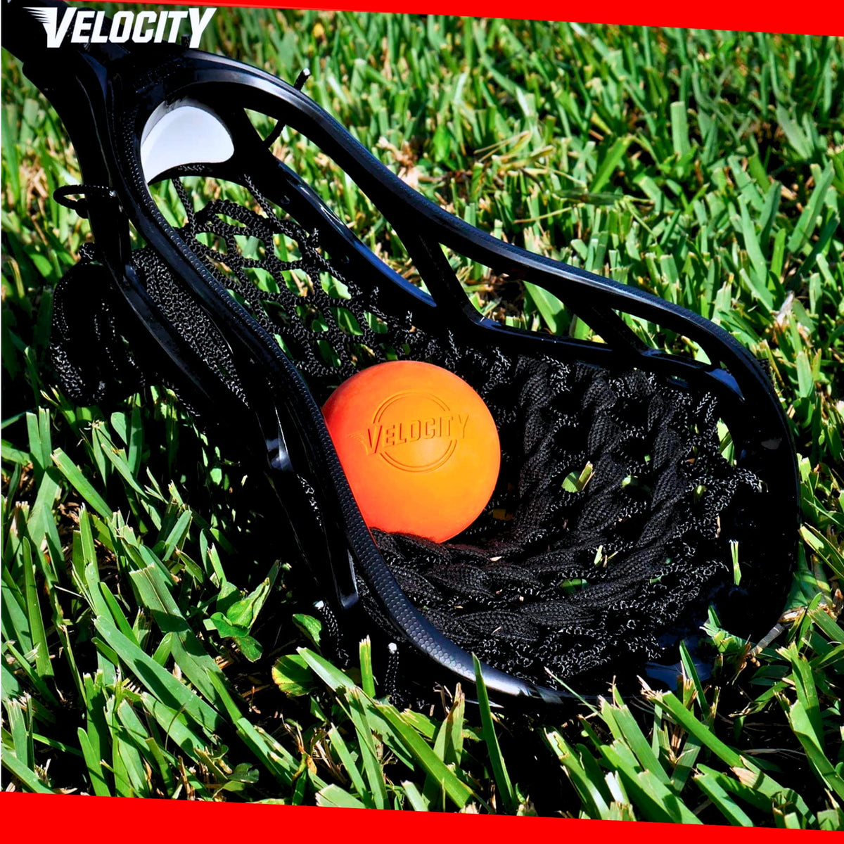 Velocity Practice Lacrosse Balls - 1, 2, 3, 6, 12, 18, 24, 36, 60 and 120 Packs - Official Size and Weight - Multi Color