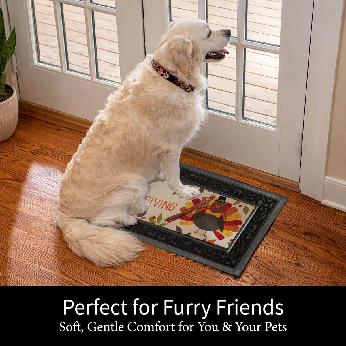 Evergreen Sassafras Fall Christmas Holiday Doormat Insert Bundle & Tray Set of 5, Interchangeable Entrance Door mats Indoor and Outdoor Welcome Mat 30 x 18 Tray Non Slip Backing Low Profile